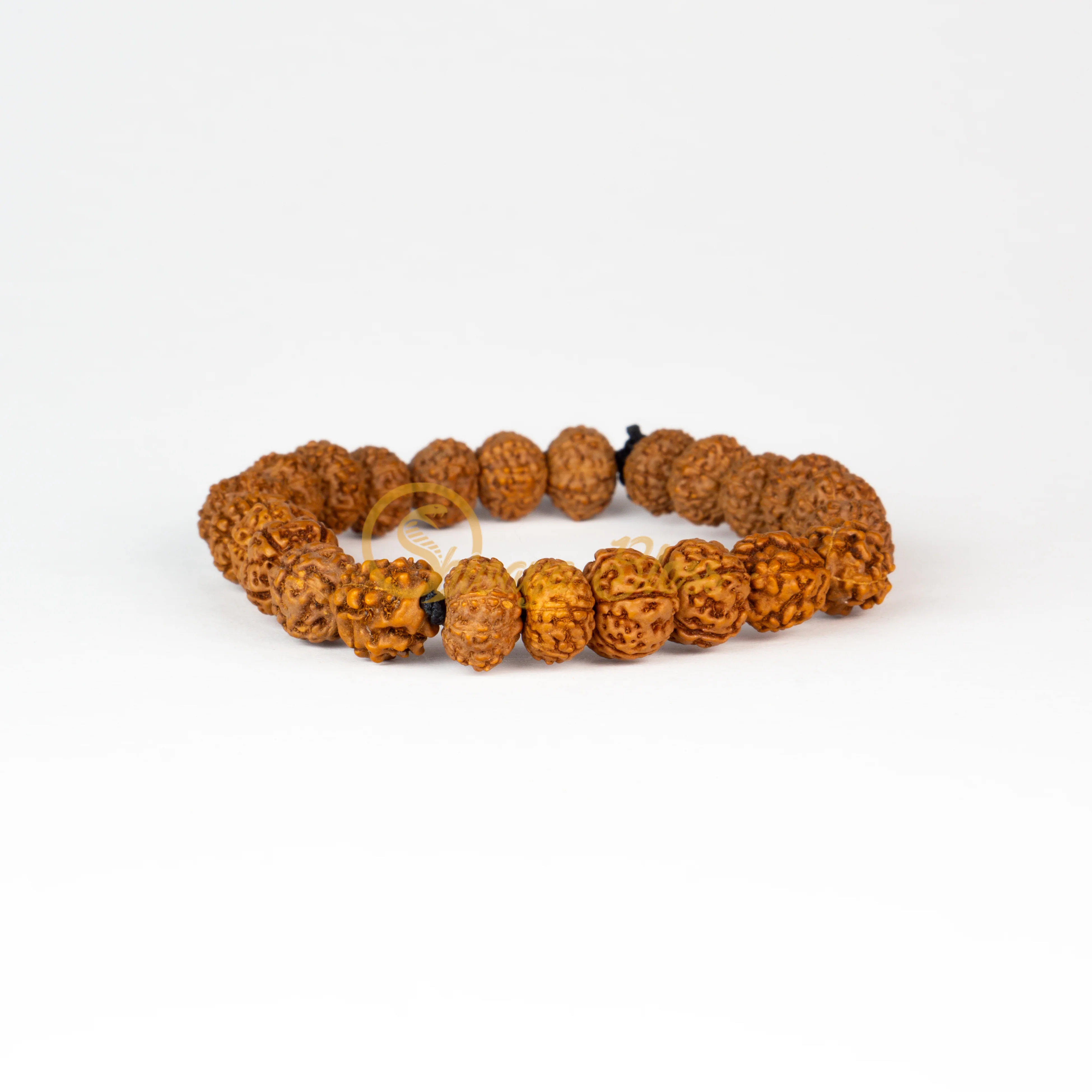 3 Face Rudraksha
